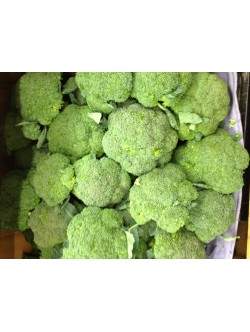 Fresh BROCCOLI $/Lb