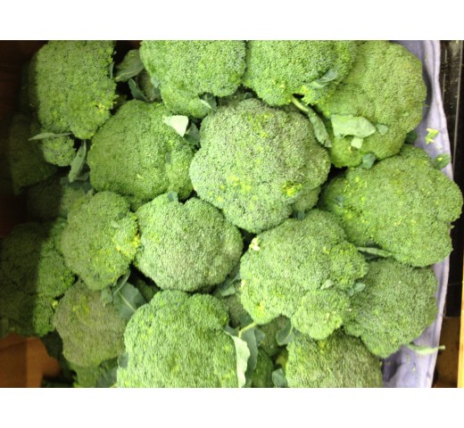 Fresh BROCCOLI $/Lb