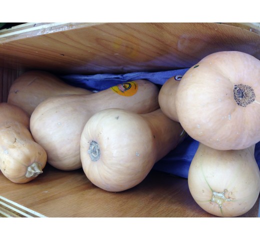 Fresh BUTTER SQUASH $/Lb