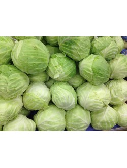 Fresh CABBAGE $/Lb