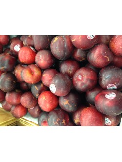 Fresh BLACK/RED PLUM $/Lb
