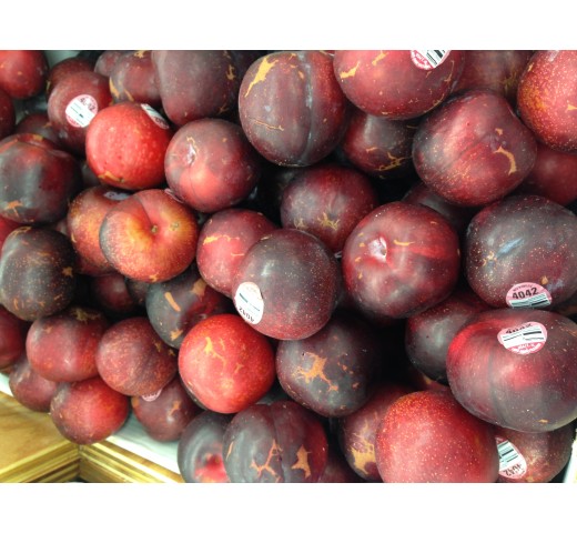 Fresh BLACK/RED PLUM $/Lb