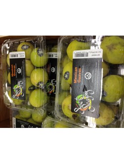 Fresh BABY GUAVA $/Each