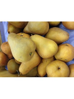 Fresh BROWN PEAR $/Lb