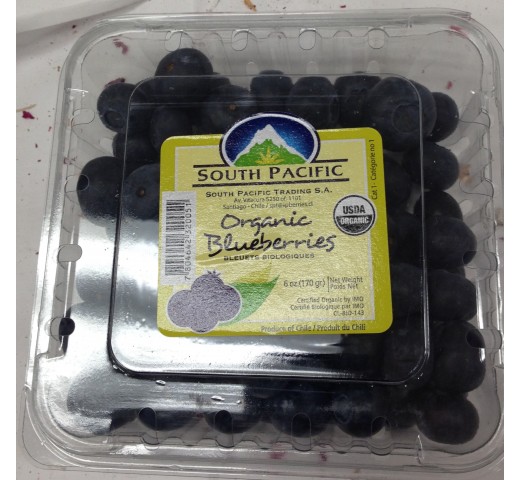 Organic Fresh South Pacific Blueberries 6 Oz / 170 Gms