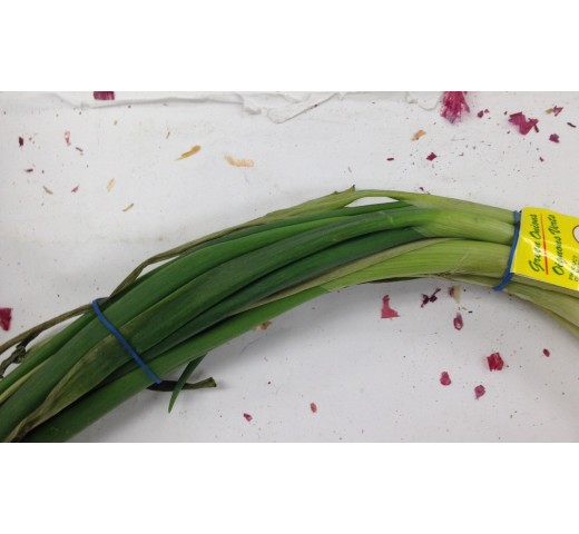 Organic Fresh Green Onions